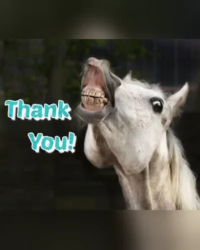 A white horse pulling a delighted face beside "Thank You!"