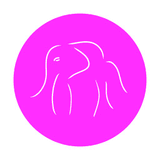 Drunk Elephant